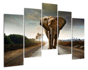 Obraz kráčejícího slona (125x90cm)