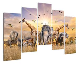 Obraz - safari (125x90cm)