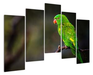 Obraz zeleného papouška (125x90cm)