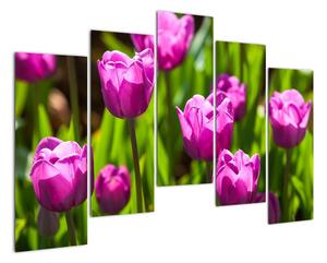 Obraz kvetoucích tulipánů (125x90cm)
