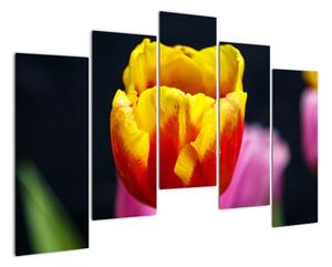 Obraz tulipánu (125x90cm)