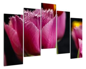 Tulipány - obrazy (125x90cm)