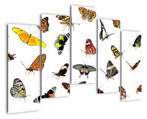 Obrazy motýlů (125x90cm)