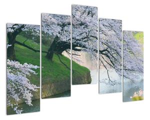 Obraz kvetoucích stromů (125x90cm)