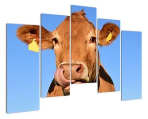 Obraz krávy (125x90cm)