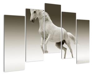 Obrazy bílého koně (125x90cm)
