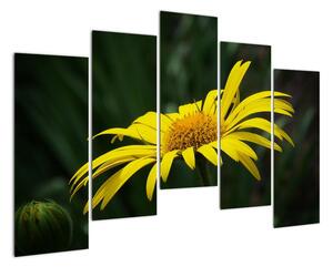 Obraz žlutého květu (125x90cm)