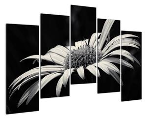 Černobílý obraz květu (125x90cm)