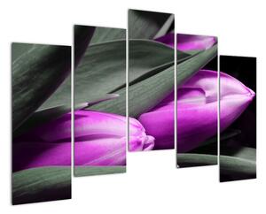 Obraz fialových tulipánů (125x90cm)