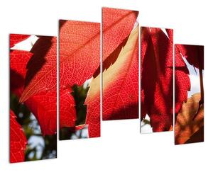 Obraz červených listů (125x90cm)