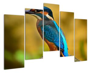 Obraz - barevný pták (125x90cm)