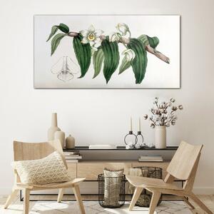 Obraz na skle Obraz na skle Kreslení květinové větve orchideje