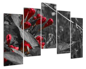 Červené květy - moderní obrazy (125x90cm)