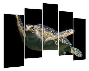 Obraz plovoucí želvy (125x90cm)