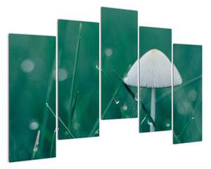 Obraz houby v trávě (125x90cm)
