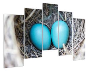 Obraz modrých vajíček v hnízdě (125x90cm)