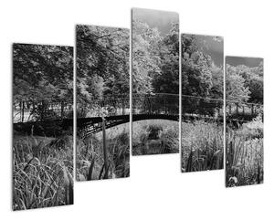 Černobílý most - obraz (125x90cm)