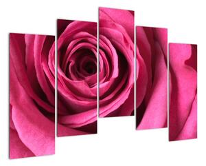 Obraz růžové růže (125x90cm)