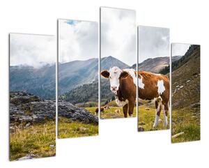 Obraz krávy na louce (125x90cm)