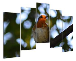 Obraz ptáka na větvi (125x90cm)