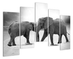 Obraz - sloni (125x90cm)