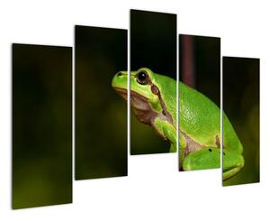 Obraz žáby (125x90cm)