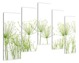 Obraz rostlin na bílém pozadí (125x90cm)