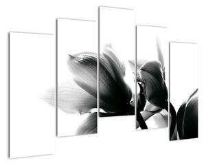 Obraz černobílých květů (125x90cm)