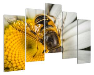 Obraz - detail včely (125x90cm)