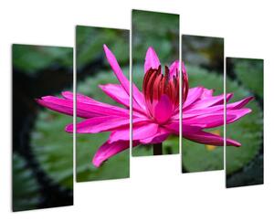 Obraz květu (125x90cm)