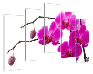 Obraz orchidejí na zeď (125x90cm)