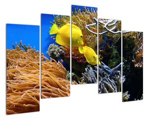 Podmořský svět - obraz (125x90cm)