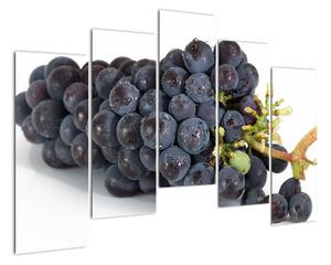 Obraz s hroznovým vínem (125x90cm)