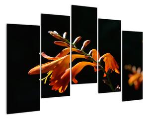 Obraz detailu květiny (125x90cm)