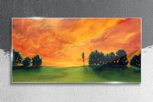 Obraz na skle Obraz na skle Západ slunce stromy nebe