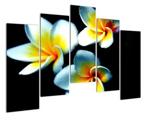 Obraz květiny (125x90cm)