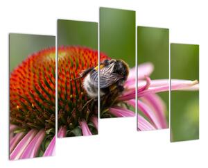 Obraz včely na květu (125x90cm)