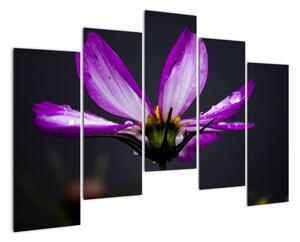 Obraz - květiny (125x90cm)