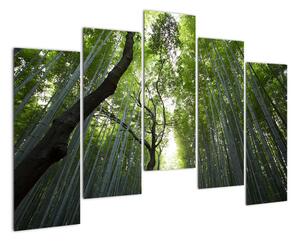 Obraz lesů (125x90cm)