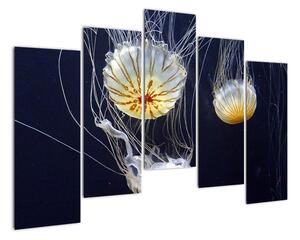 Obraz - medúzy (125x90cm)