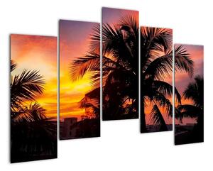 Obraz palmy na zeď (125x90cm)
