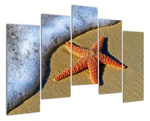 Obraz s mořskou hvězdou (125x90cm)
