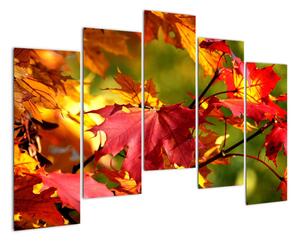 Podzimní listí, obraz (125x90cm)