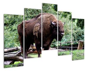 Obraz s americkým bizonem (125x90cm)