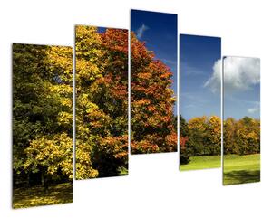 Podzimní krajina, obraz (125x90cm)