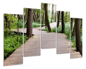 Cesta v lese - obraz (125x90cm)