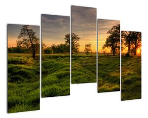 Západ slunce v krajině, obrazy (125x90cm)