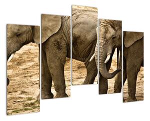 Slon, obraz (125x90cm)