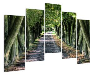 Údolí stromů, obrazy (125x90cm)
