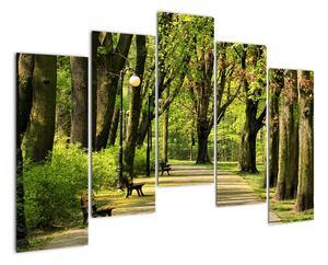 Cesta v parku - obraz (125x90cm)